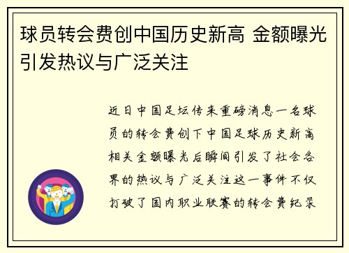 球员转会费创中国历史新高 金额曝光引发热议与广泛关注
