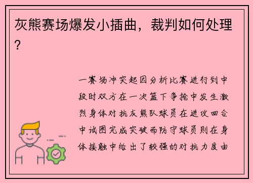 灰熊赛场爆发小插曲，裁判如何处理？